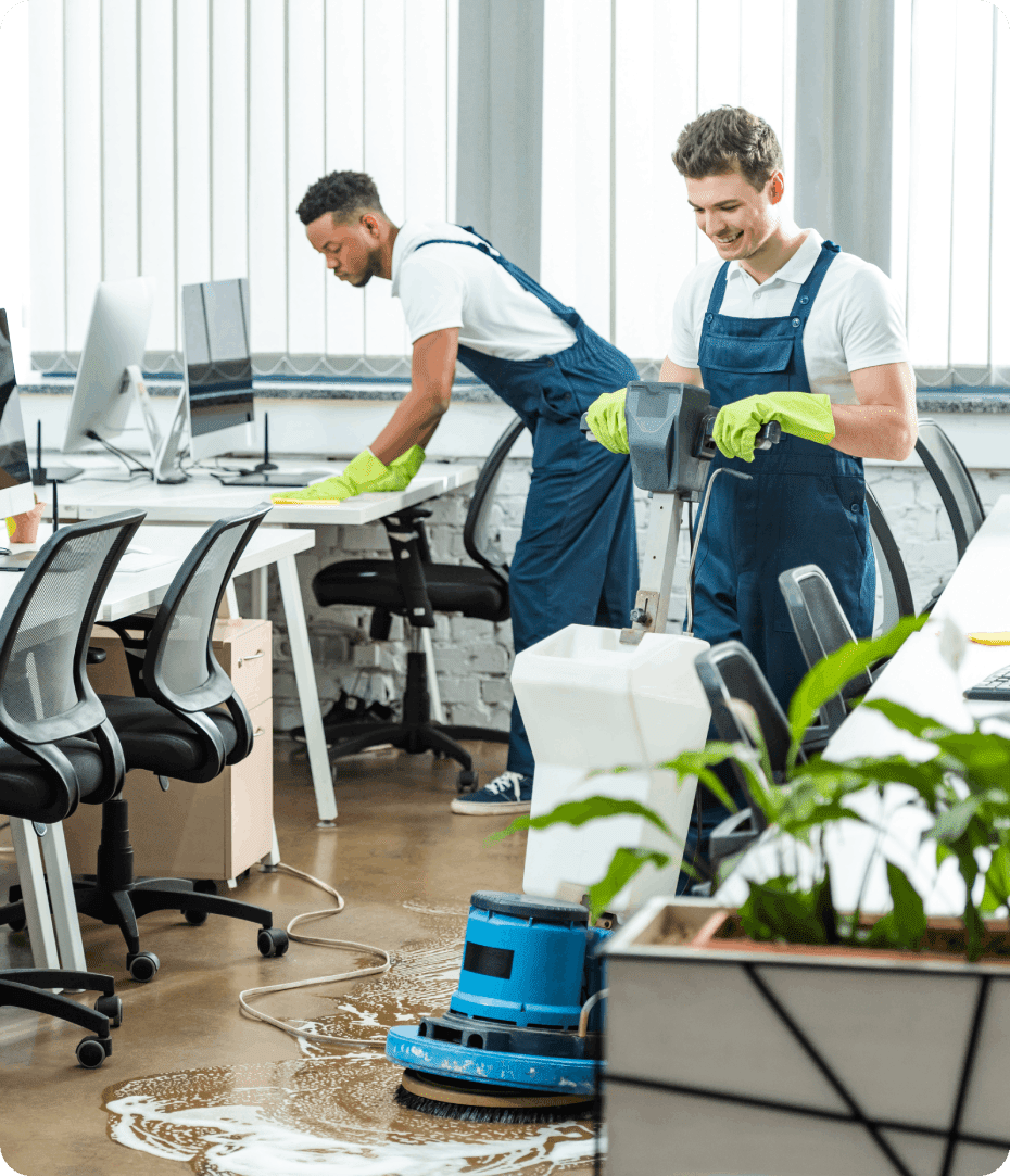 White Glove Cleaning Professionals